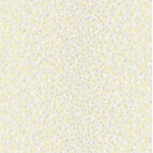 PY1301