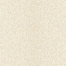 PY1305