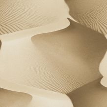 L14017