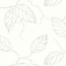 CSA-006-10-1