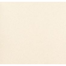 306011