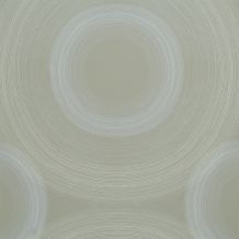 49170