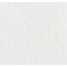 306077