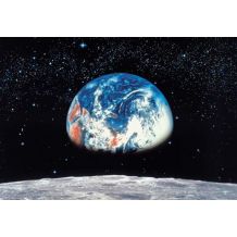 8-019