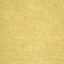 26372509