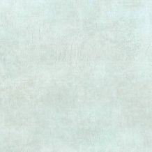 GEO26906119