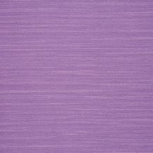 SPR24395240