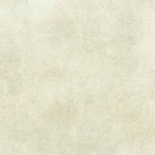GEO26901147