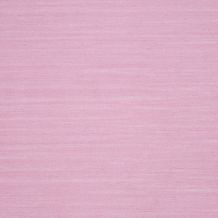 SPR24394117