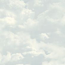 L13101