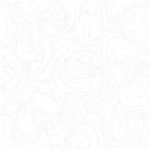 3101