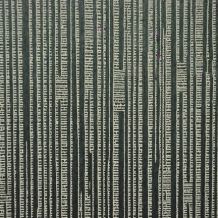 AN8001