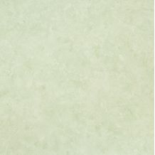 306094