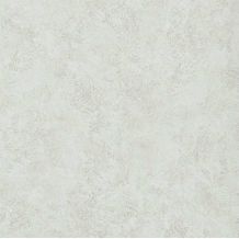 283 83