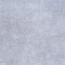 GEO26909302
