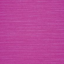 SPR24395533