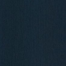 BT 1010